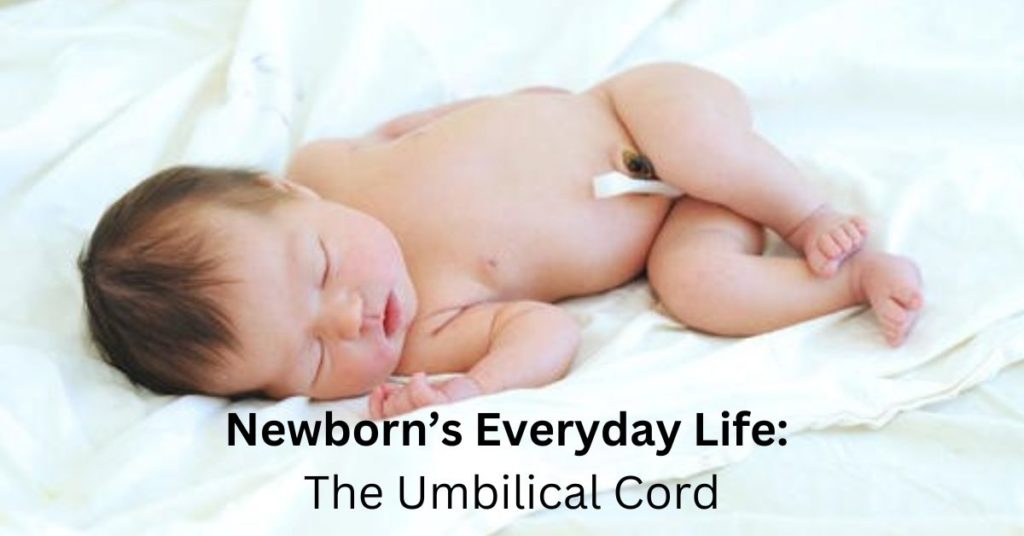 The Umbilical Cord