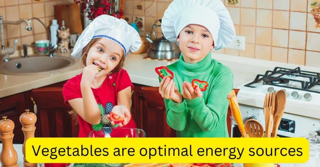 Vegetables are optimal energy sources