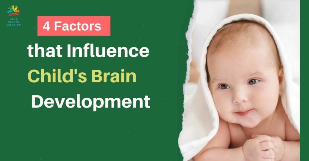 child's brain development